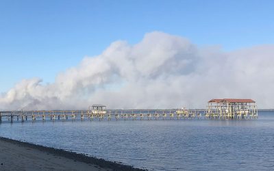 Five Mile Swamp Fire in Photo
